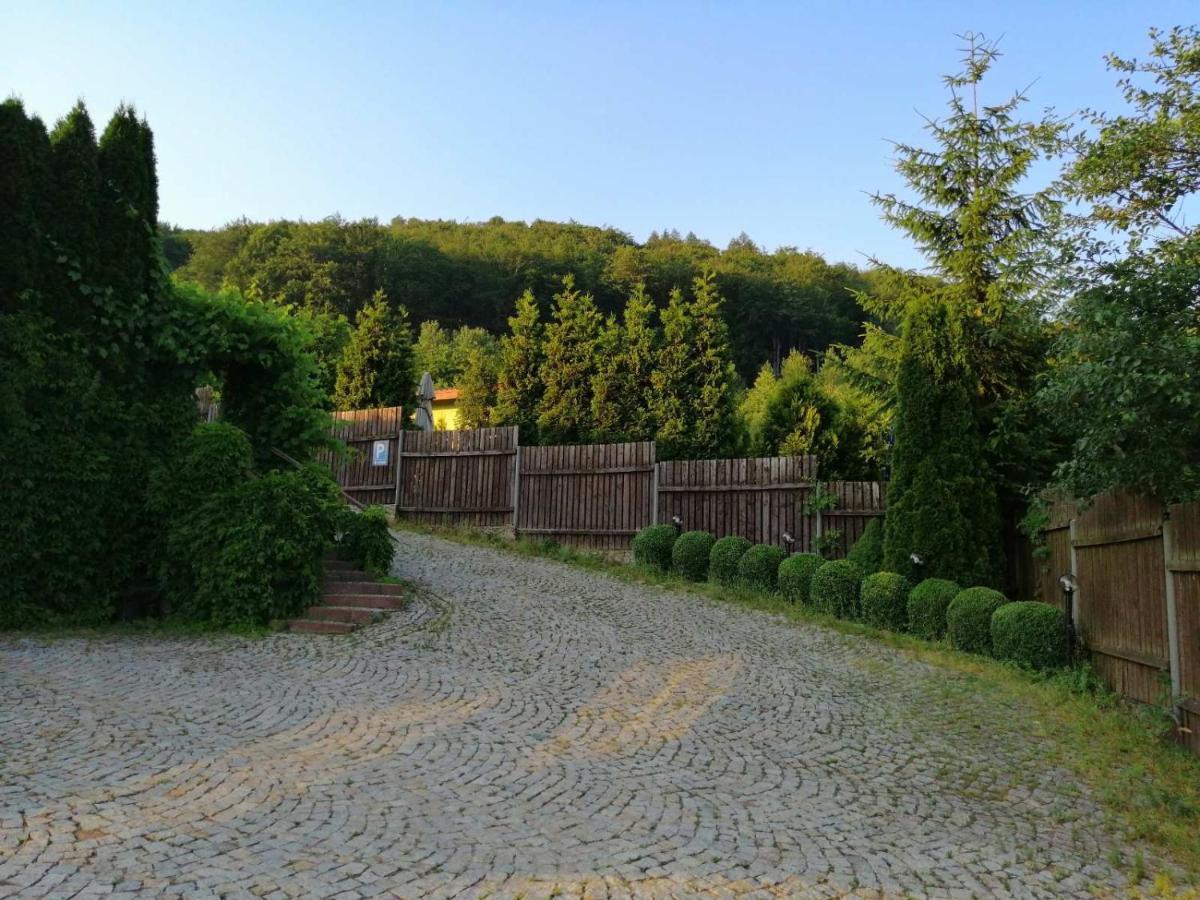 Albergue Zielone Wzgórze Wałbrzych Exterior foto